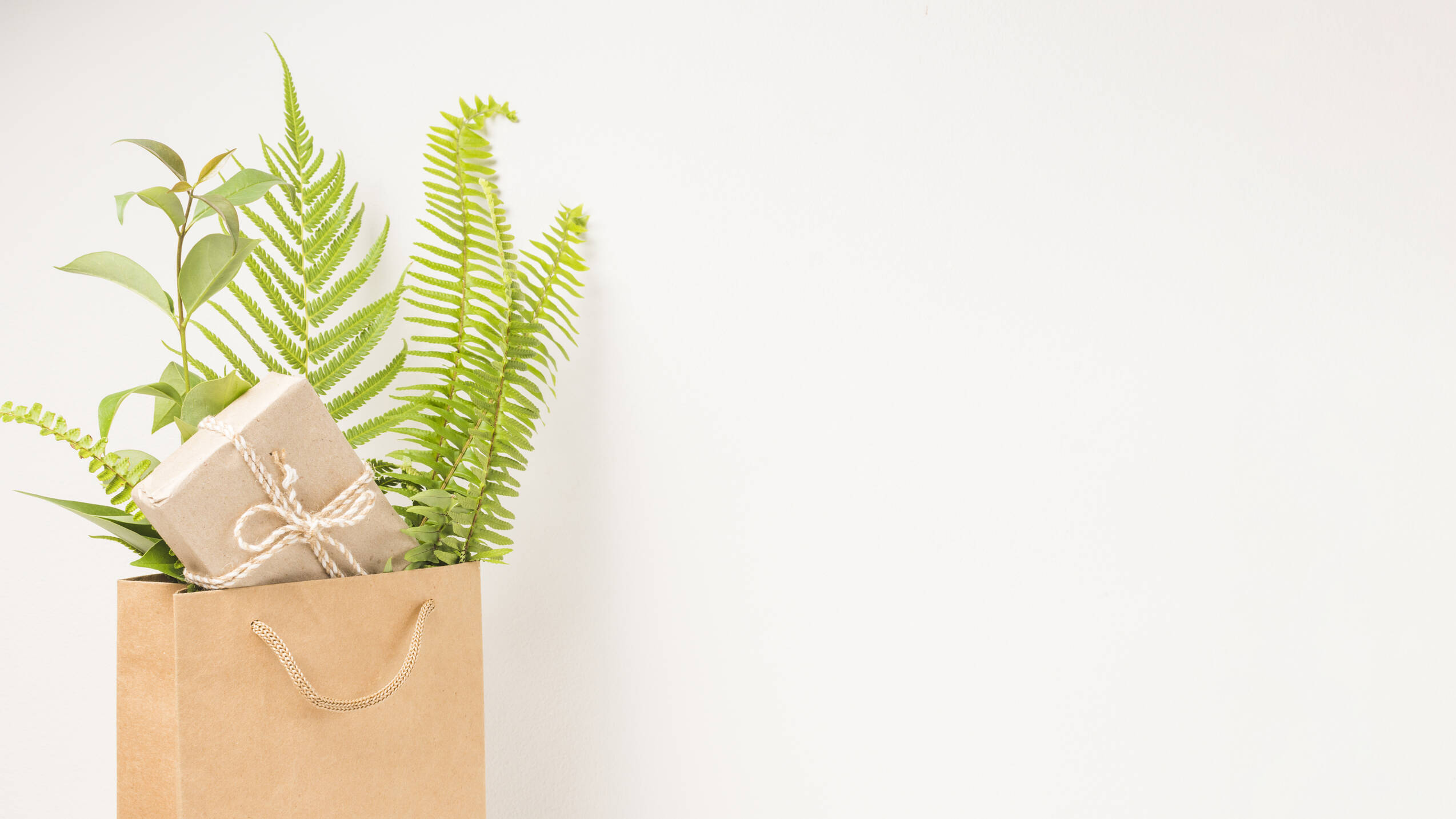 Gift box green fern leaves brown paper bag with space text